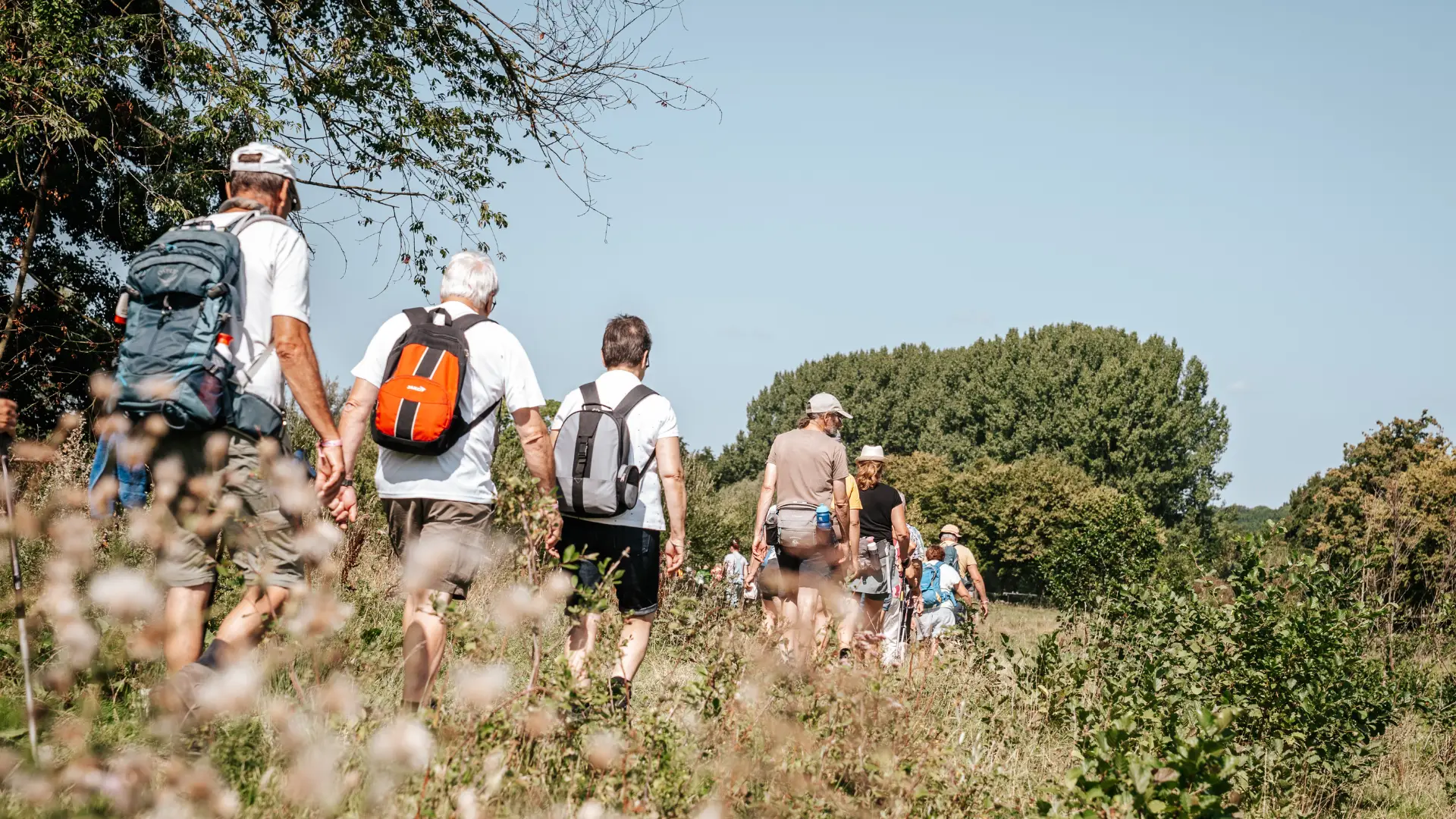 Praktische informatie heuvelland wandel 4 daagse